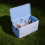 Coleman Snap and Go Collapsible Hard Cooler Box, 35L - Daydream