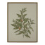 Humble & Mash Framed Portrait Vintage Botanical Canvas Wall Art, 80cm x 60cm