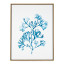 Humble & Mash Framed Portrait Staghorn Coral Canvas Wall Art, 80cm x 60cm