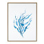 Humble & Mash Framed Portrait Coral Canvas Wall Art, 80cm x 60cm