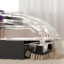 Milex Pro-Pet Shampooer Carpet Cleaner, 800W