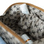 Thandana Laminated Fabric Side Mouth Vanity Bag - Linear Preppy