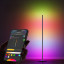 Govee Smart Basic Floor Lamp