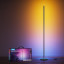 Govee Smart Basic Floor Lamp