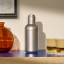 Nespresso Barista Silver Shaker