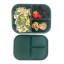 MicroGarden 3-Portion Silicone Bento Lunchbox - Moss