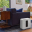Sonos Era 100 SL Smart Bluetooth Wi-Fi Speaker - White
