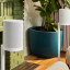 Sonos Era 100 SL Smart Bluetooth Wi-Fi Speaker - White