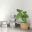 MicroGarden Stainless Steel Mixing Bowls, Set of 3