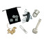 Holly & Ivy Opulent Ecru, Pack of 6