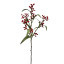 Humble & Mash Budding Spray 53cm Red Faux Plant