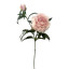Humble & Mash Peony 68cm Dusty Pink Faux Plant