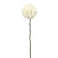 Humble & Mash Dahlia 55cm Cream Faux Plant
