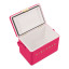 Fieldbar Limited Edition Yuppiechef Pink Mini Bar, 4L