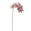 Humble & Mash Phalaenopsis Orchid 71cm Purple stem Faux Plant