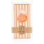 Tavola Aperol Spritz Slim Biodegradable Paper Napkins, Pack of 24