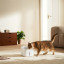 Xiaomi Smart Pet Fountain 2