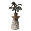 Thread Office Natural Wooden Carved Spots Side Table