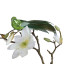 Humble & Mash Green Feather Bird Clips, Set Of 4 on plant