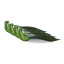 Humble & Mash Green Feather Bird Clips, Set Of 4