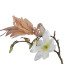Humble & Mash Gold Feather Bird Clips, Set Of 2 on plant