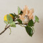 Humble & Mash Gold Feather Bird Clips, Set Of 2 on plant
