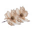 Humble & Mash Gold Poinsettia Flower, Set Of 2