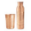 Forrest & Love Paradise Copper Bottle & Tumbler Set