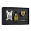 Cape Island African Storm Grand Car Diffuser Set
