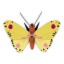 Studio ROOF Butterfly - Luzerne