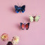 Studio ROOF Butterfly - Luzerne