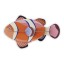 Studio ROOF Fish - Clownfish