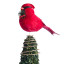 Humble & Mash Red Northern Cardinal Bird Tree Topper on small tree