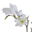 Humble & Mash White Feather Bird Clips, Set Of 2 on plant