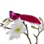 Humble & Mash Pink Feather Bird Clips, Set Of 4 on plant