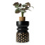 Thread Office Black Wooden Carved Spots Side Table