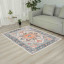 Rugs Original Heriz Printed Area Rug