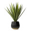 Thread Office Urchin Planter Pot, 23cm