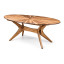 Homewood Cottonwood Imbiza Oval Sun Burst 6 seater Table