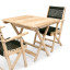 Homewood Cottonwood Phinda Cotswold Folding Chair - Green