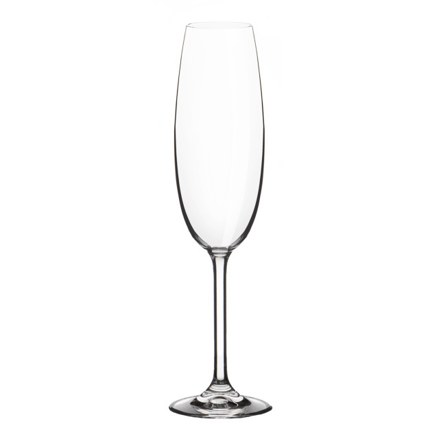 Crane Crystal Bistro Champagne Flutes, Set of 6