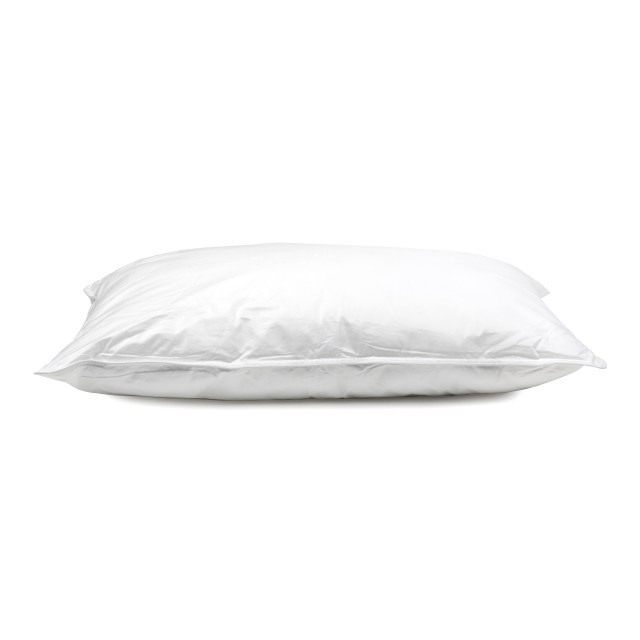 Fine Fibre Premium Soft/Medium Pillow - Standard angle