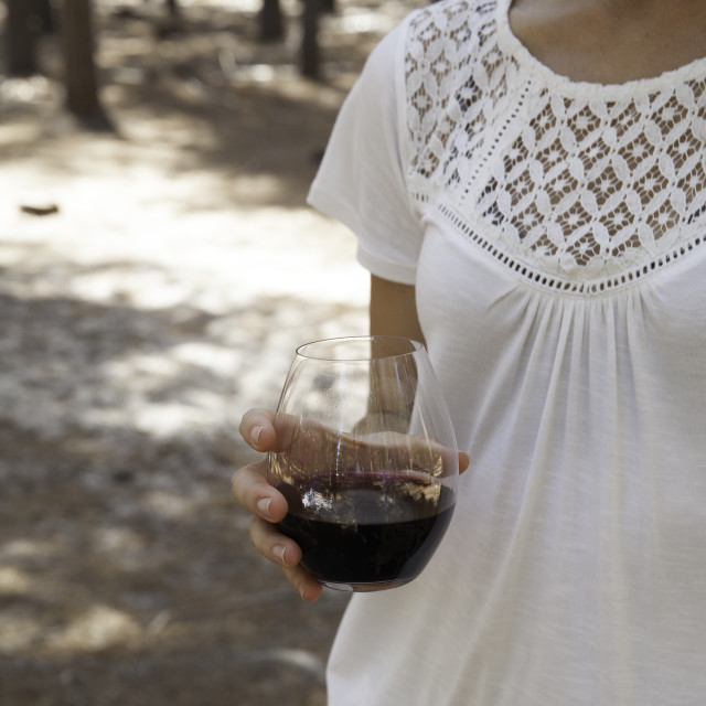 Riedel O To Go Stemless Red Wine Glass, Single