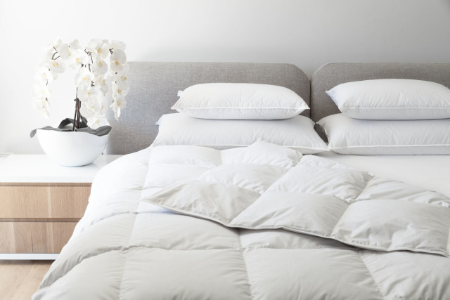 Royal Comfort Hungarian Goose Down Winter Duvet Inner, 60% Down