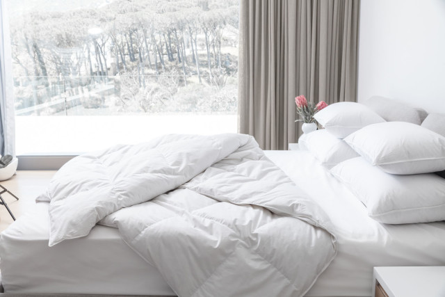 Royal Comfort Hungarian Goose Down Winter Duvet Inner, 60% Down