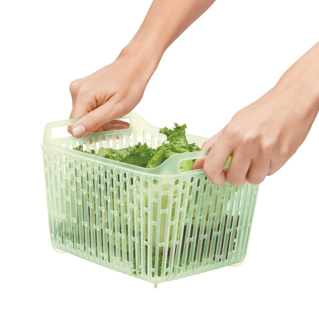 OXO Good Grips Greensaver Produce Keeper
