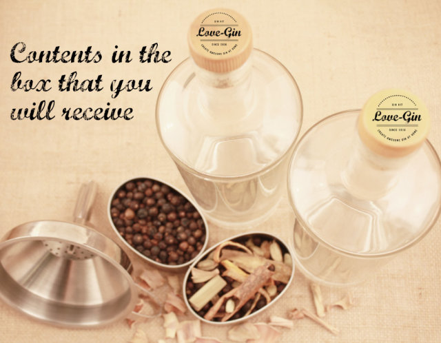 Love Gin Homemade Gin Kit