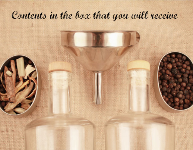 Love Gin Homemade Gin Kit