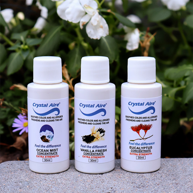 Crystal Aire Air Purifier Concentrates, Pack of 3 on a rock