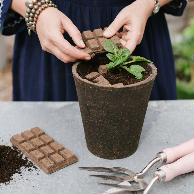 Sow Delicious Pure Collection Slab of Seed Spinach being potted in an pot plant